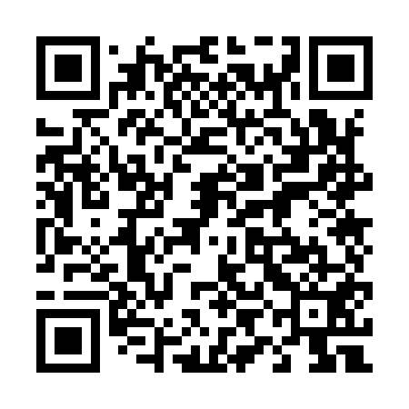 QR code for 49O951