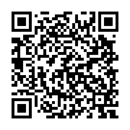 QR code for 49P093