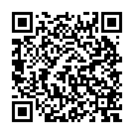 QR code for 49P248
