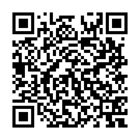 QR code for 49Q171
