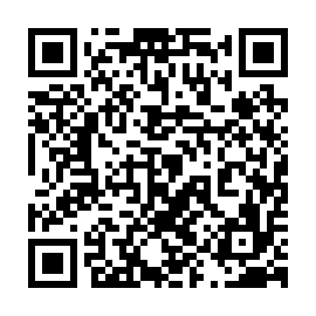 QR code for 49Q216