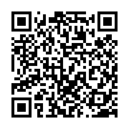 QR code for 49Q438
