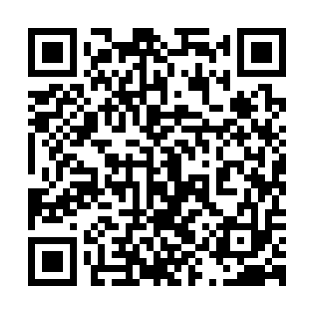 QR code for 49Y313
