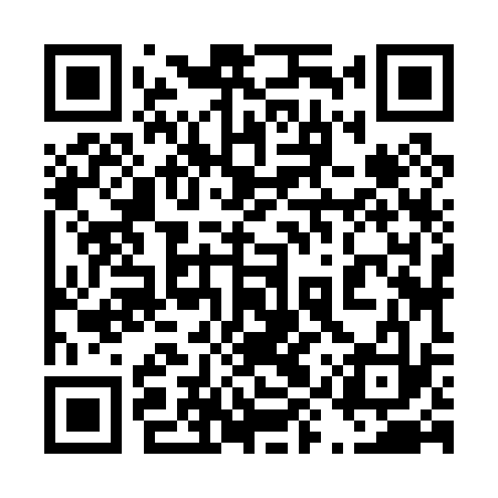 QR code for 49Z033