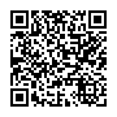 QR code for 49Z379