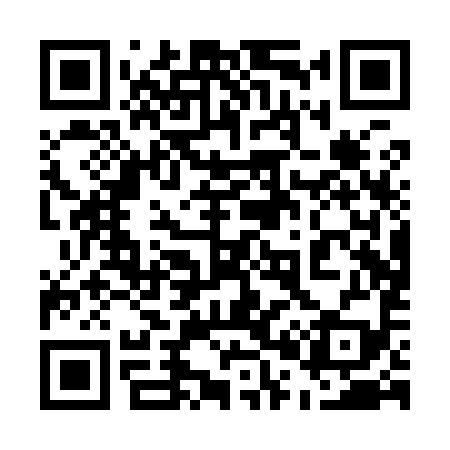 QR code for 500Y99