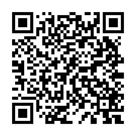 QR code for 500Z49