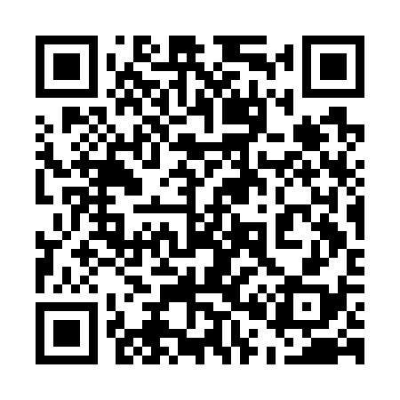 QR code for 503G38