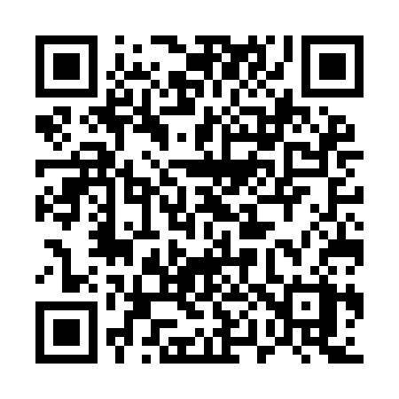 QR code for 507ICX
