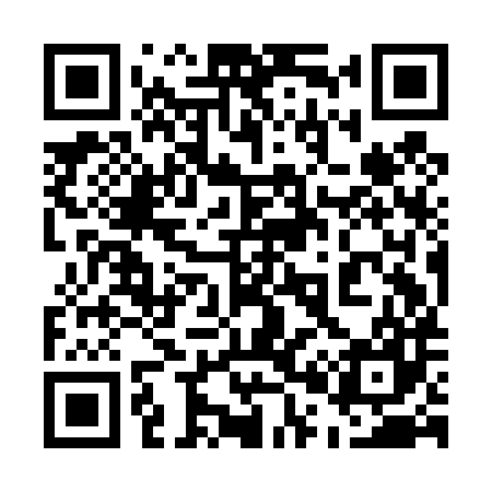 QR code for 509D87
