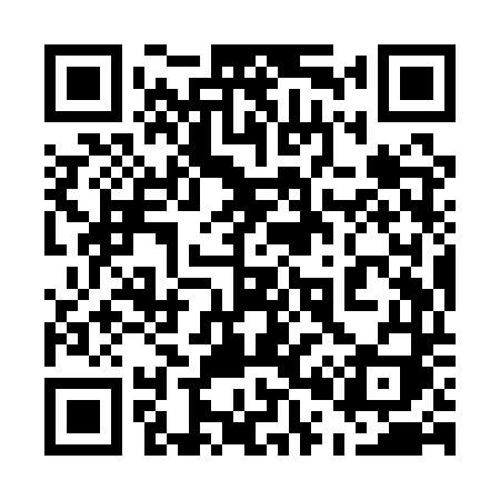 QR code for 509QTI