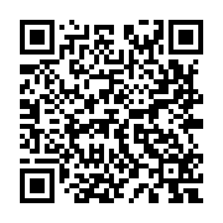 QR code for 509Y16