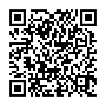 QR code for 509Z10