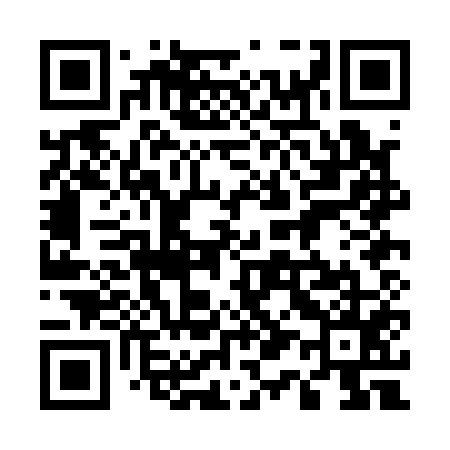QR code for 510A55
