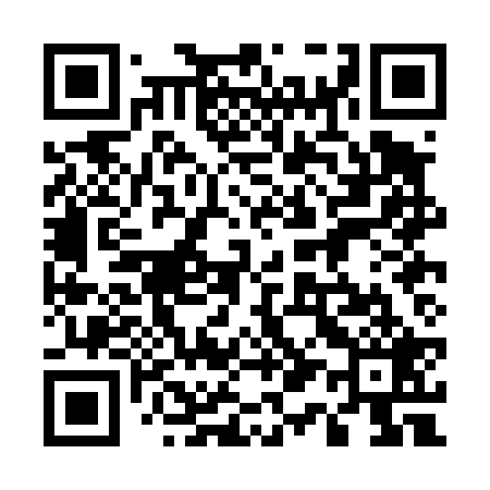 QR code for 510D29