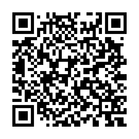 QR code for 510P77