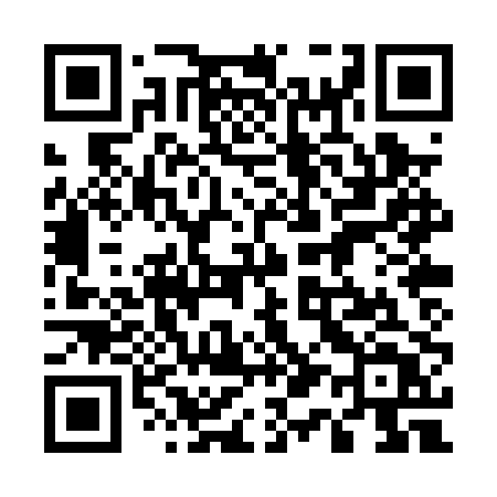QR code for 510PPT