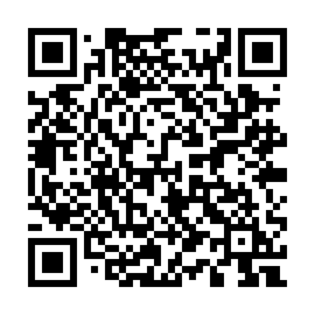 QR code for 511PAI
