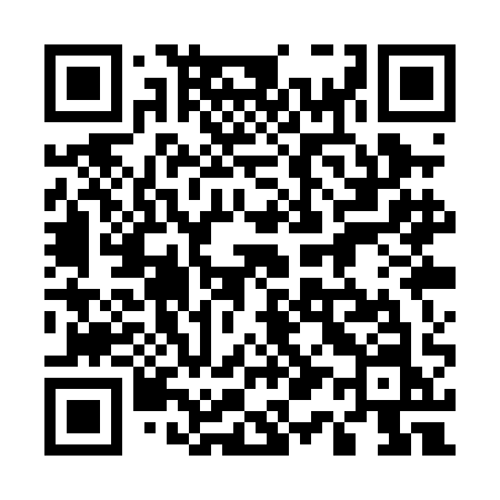 QR code for 511PAN