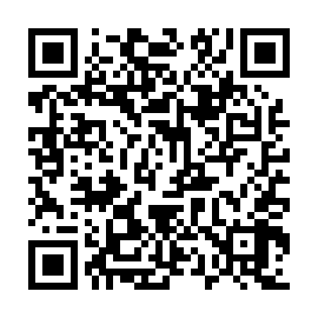 QR code for 514P48