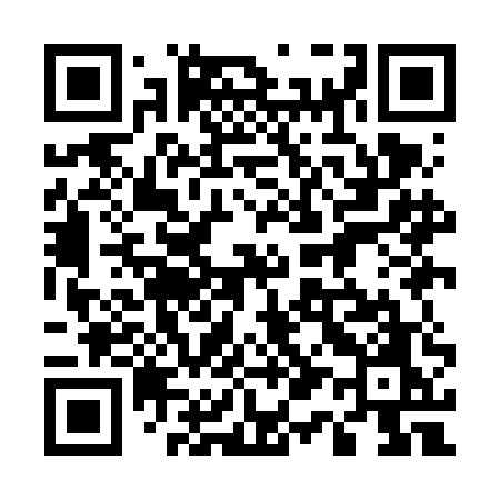 QR code for 519FEO
