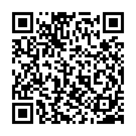 QR code for 519O11