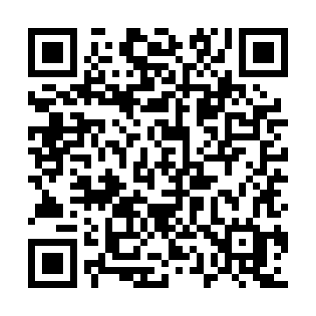 QR code for 519PHG