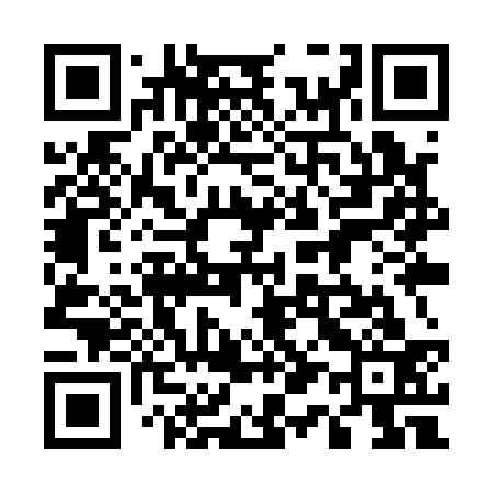 QR code for 519Q33