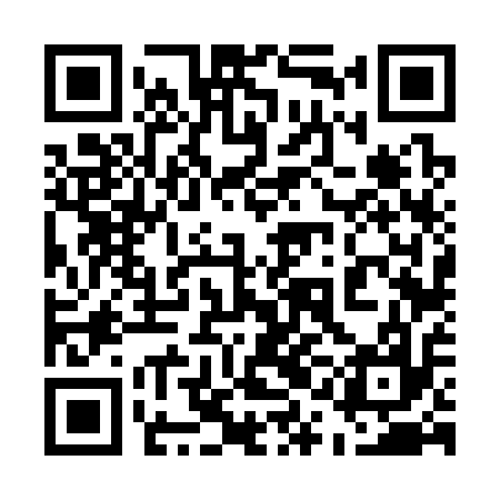 QR code for 51F317