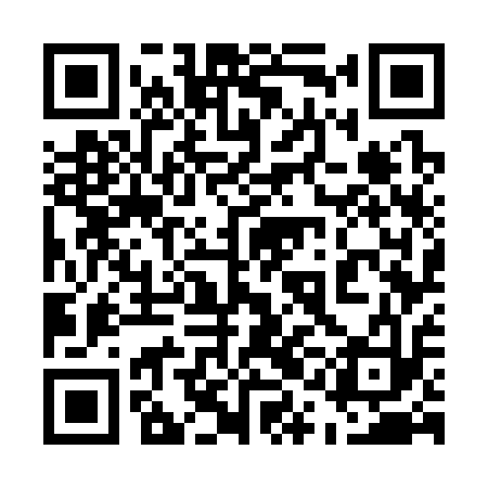 QR code for 51G313