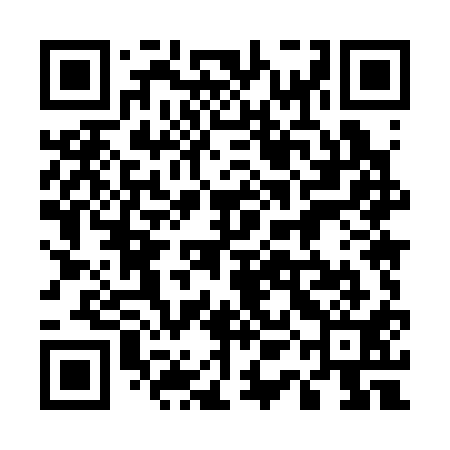 QR code for 51M311