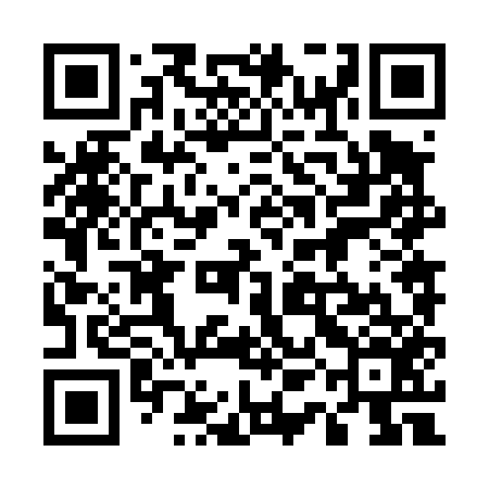 QR code for 51N456