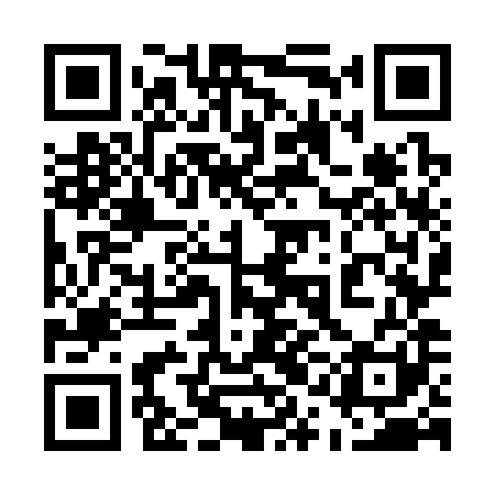 QR code for 51O381