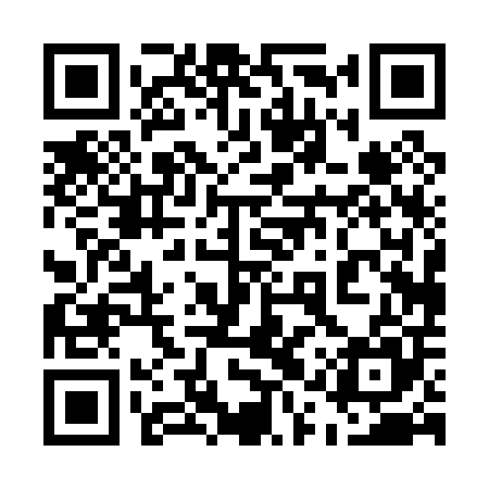 QR code for 51P005