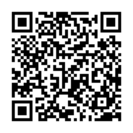 QR code for 51P224
