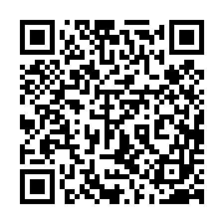 QR code for 51P453