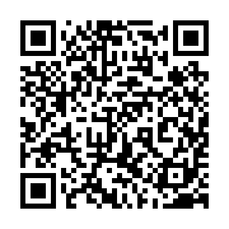 QR code for 51Q291