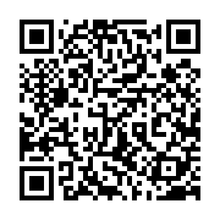 QR code for 51T509