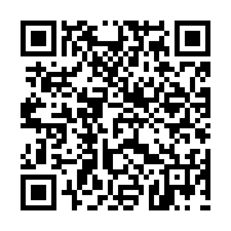 QR code for 529N36