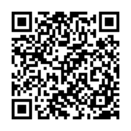 QR code for 533B47