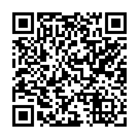 QR code for 533B52