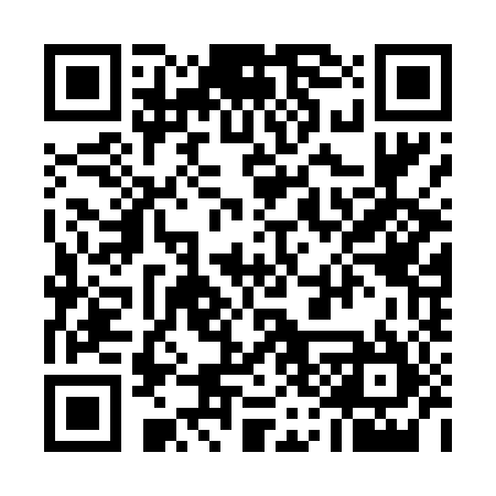 QR code for 533D85