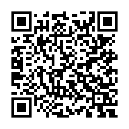 QR code for 533NNS