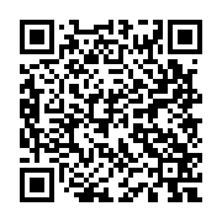 QR code for 53P163