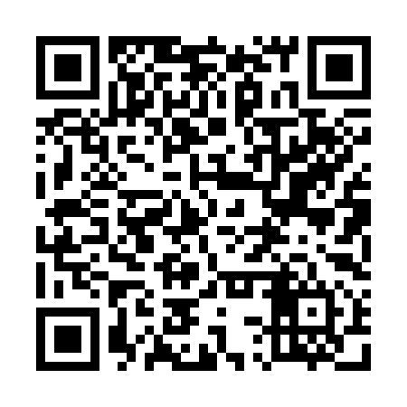 QR code for 53P394