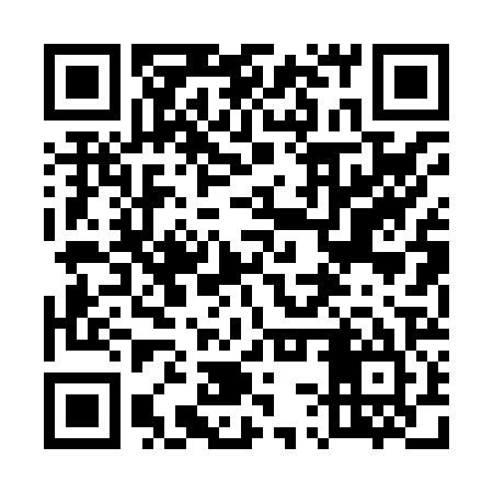 QR code for 53P825