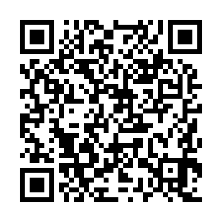 QR code for 53P991
