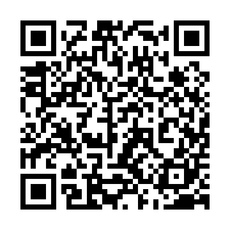 QR code for 53Q100