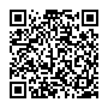 QR code for 53Y333