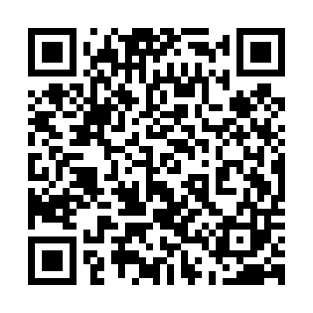 QR code for 541D03